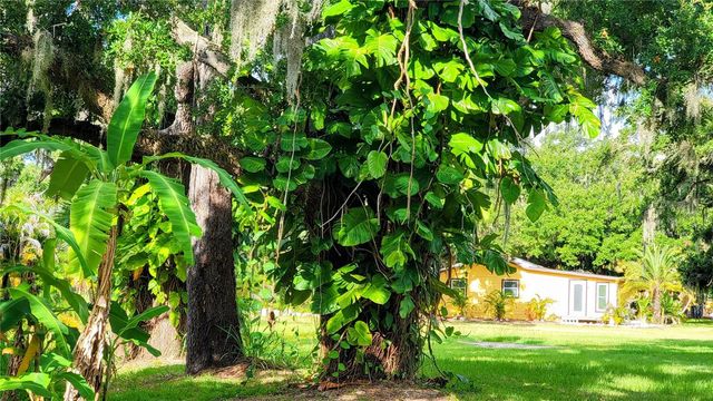 3348 ALAMO LANE, Sarasota, FL 34235