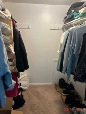 1750 Fayette Walk F, Hoffman Estates, IL 60169