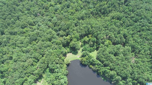 308 CARRIAGE LANE, Alabaster, AL 35007