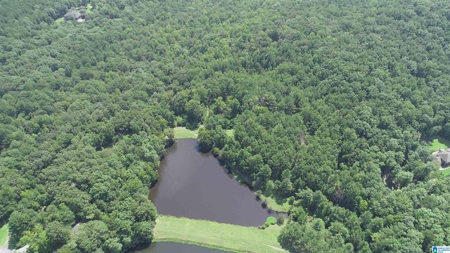 308 CARRIAGE LANE, Alabaster, AL 35007