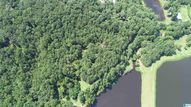 308 CARRIAGE LANE, Alabaster, AL 35007