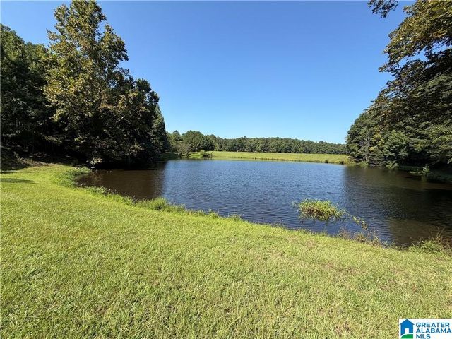 308 CARRIAGE LANE, Alabaster, AL 35007