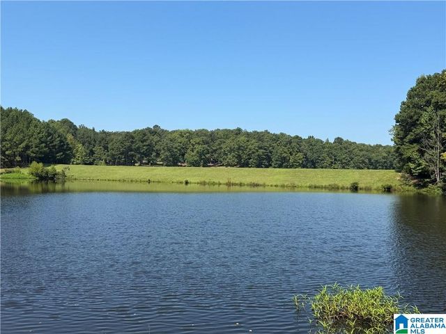308 CARRIAGE LANE, Alabaster, AL 35007