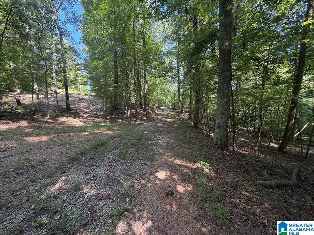308 CARRIAGE LANE, Alabaster, AL 35007
