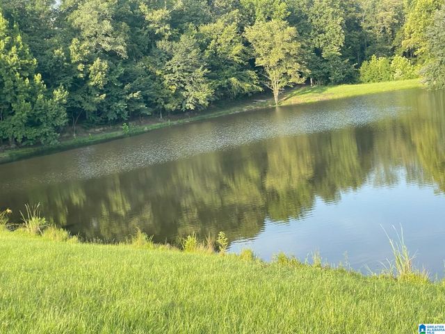 308 CARRIAGE LANE, Alabaster, AL 35007