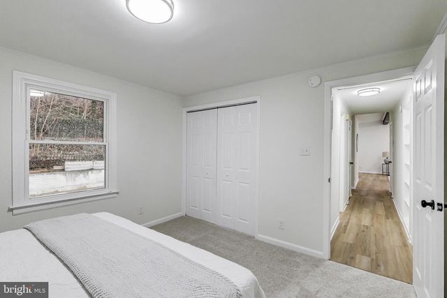 18905 RED OAK LN, Triangle, VA 22172