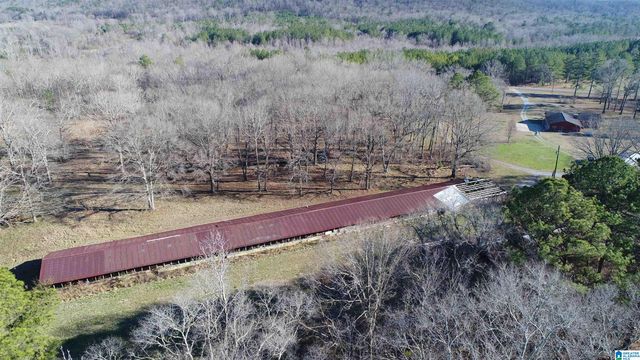 2317 COOSA COUNTY ROAD 41, Weogufka, AL 35183