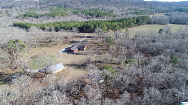 2317 COOSA COUNTY ROAD 41, Weogufka, AL 35183