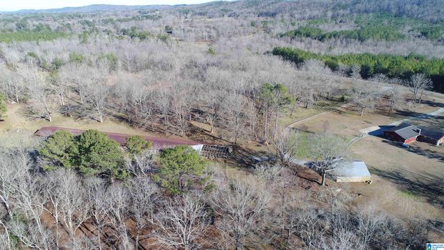 2317 COOSA COUNTY ROAD 41, Weogufka, AL 35183