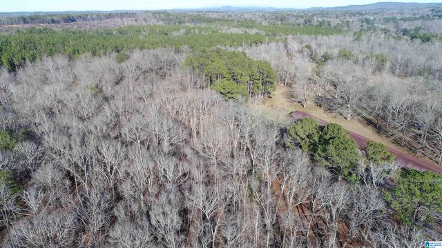 2317 COOSA COUNTY ROAD 41, Weogufka, AL 35183