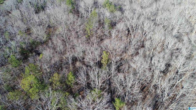 2317 COOSA COUNTY ROAD 41, Weogufka, AL 35183