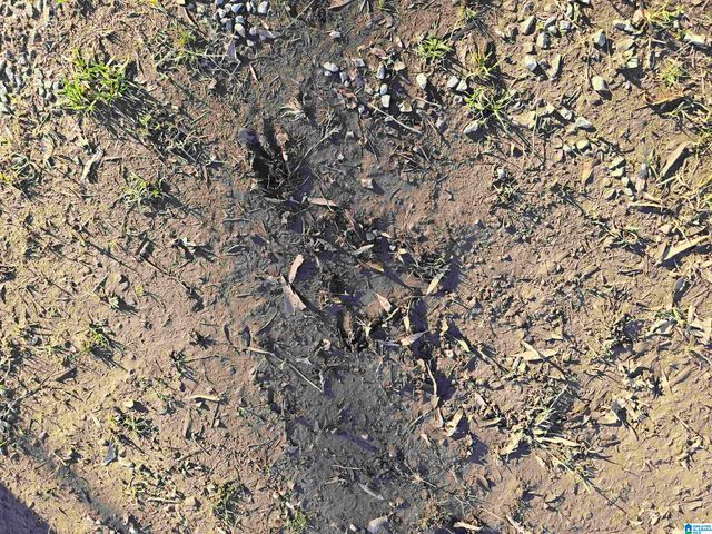 2317 COOSA COUNTY ROAD 41, Weogufka, AL 35183