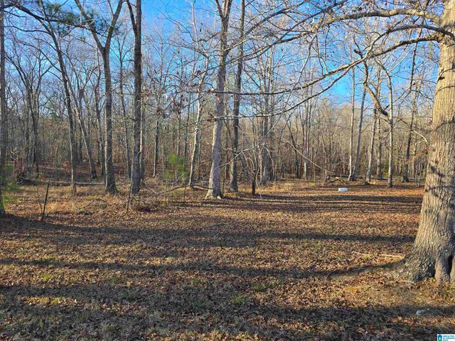 2317 COOSA COUNTY ROAD 41, Weogufka, AL 35183