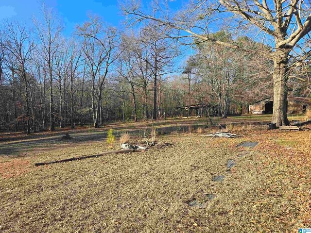 2317 COOSA COUNTY ROAD 41, Weogufka, AL 35183