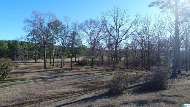 2317 COOSA COUNTY ROAD 41, Weogufka, AL 35183