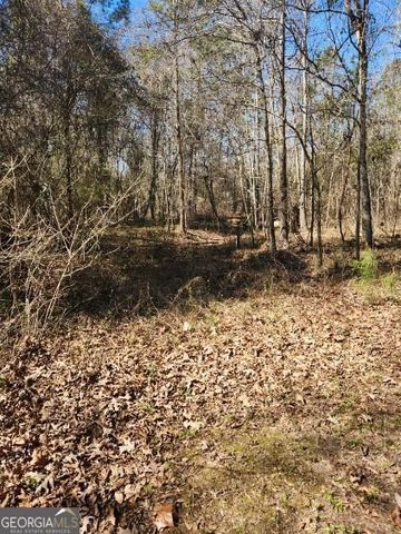 885 Henderson Road, Dublin, GA 31021