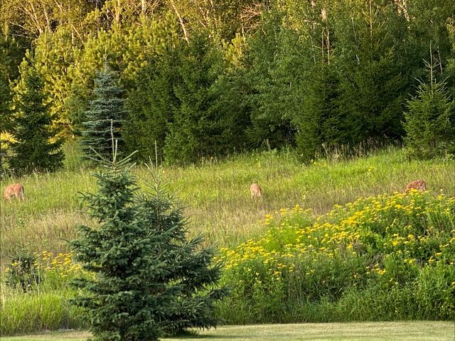 10894 Spring Drive NW, Bemidji, MN 56601