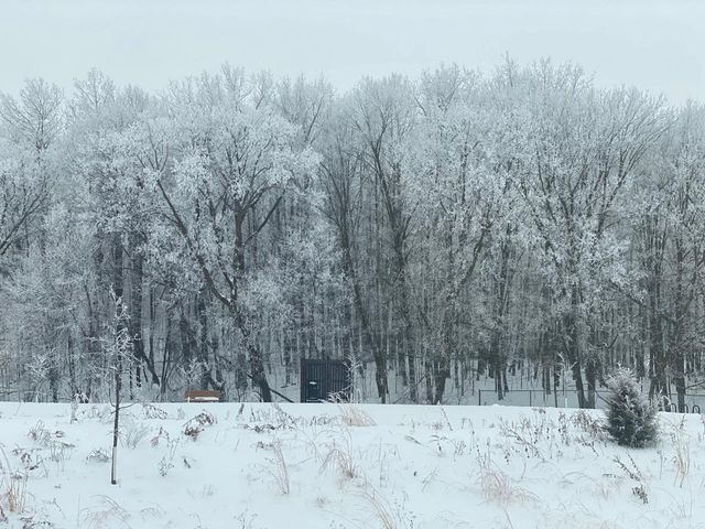 18625 43rd Avenue N, Plymouth, MN 55446