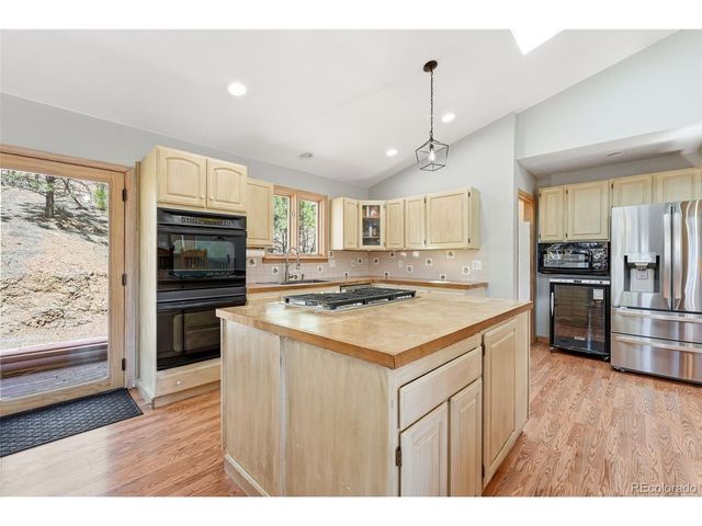 16687 Ouray Rd W, Pine, CO 80470