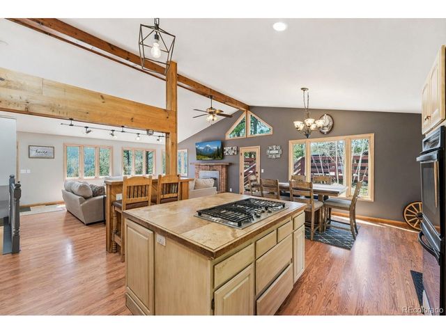 16687 Ouray Rd W, Pine, CO 80470
