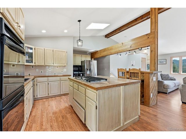 16687 Ouray Rd W, Pine, CO 80470