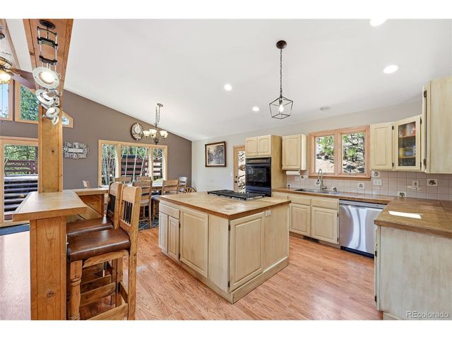 16687 Ouray Rd W, Pine, CO 80470