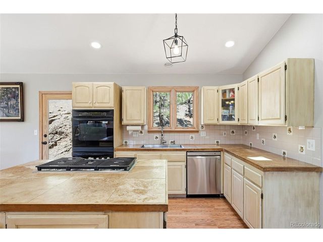 16687 Ouray Rd W, Pine, CO 80470