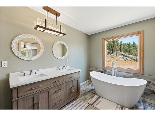 16687 Ouray Rd W, Pine, CO 80470