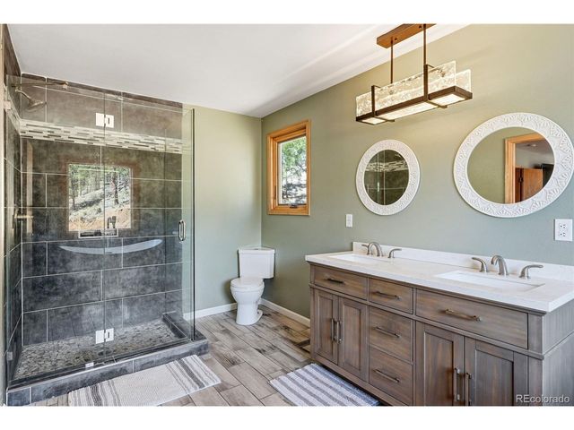 16687 Ouray Rd W, Pine, CO 80470