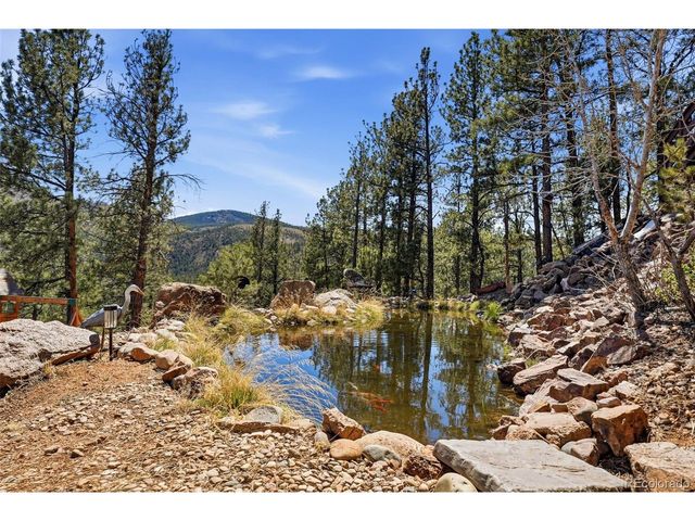 16687 Ouray Rd W, Pine, CO 80470
