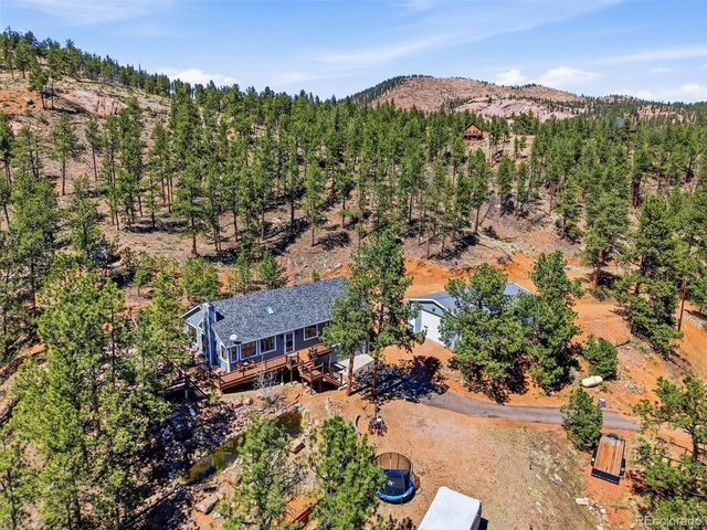 16687 Ouray Rd W, Pine, CO 80470