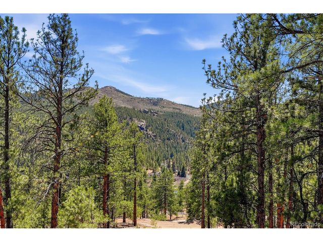 16687 Ouray Rd W, Pine, CO 80470