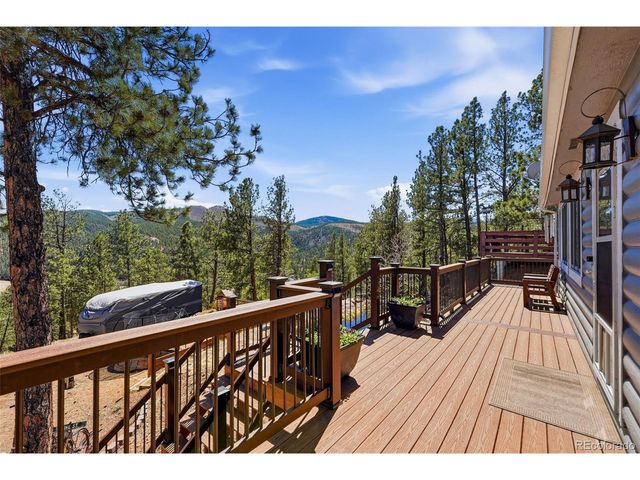 16687 Ouray Rd W, Pine, CO 80470