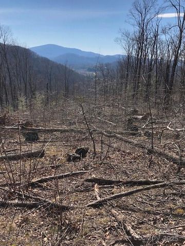 000 Butler Ridge Trail 26, Hendersonville, NC 28792