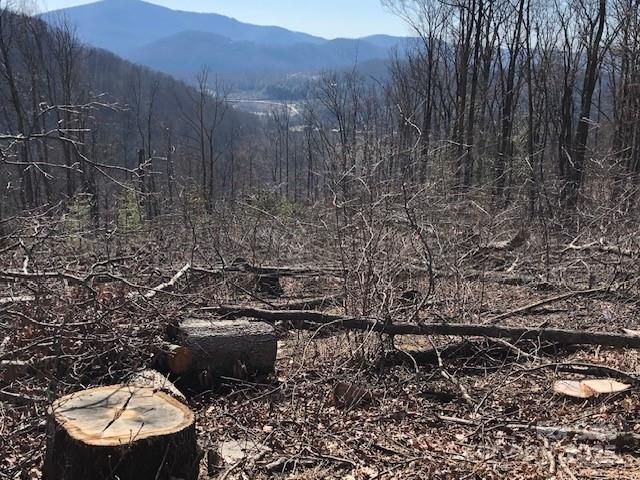 000 Butler Ridge Trail 26, Hendersonville, NC 28792