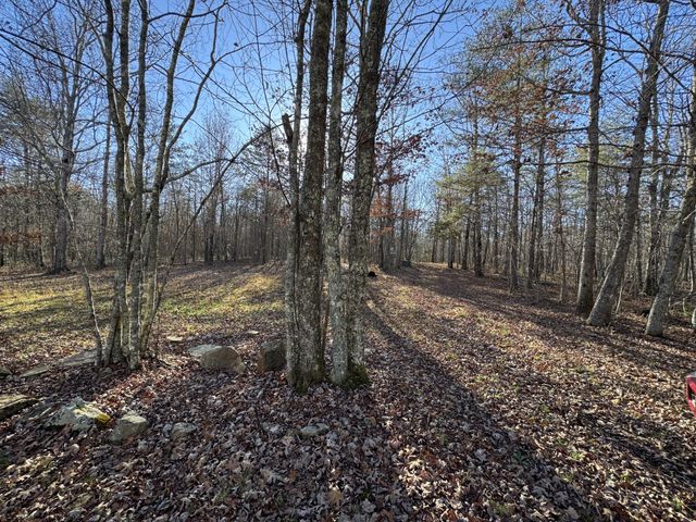 224 Azalea Ridge Rd, Tracy City, TN 37387