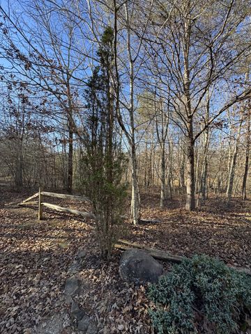 224 Azalea Ridge Rd, Tracy City, TN 37387