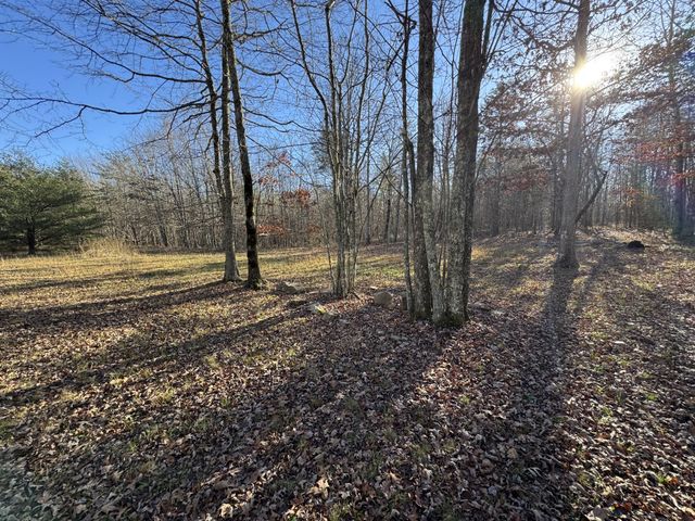 224 Azalea Ridge Rd, Tracy City, TN 37387