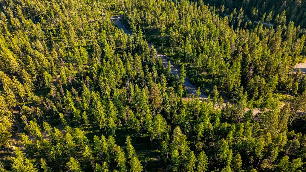 300 Salish Mountains Drive, Whitefish, MT 59937 photo 55