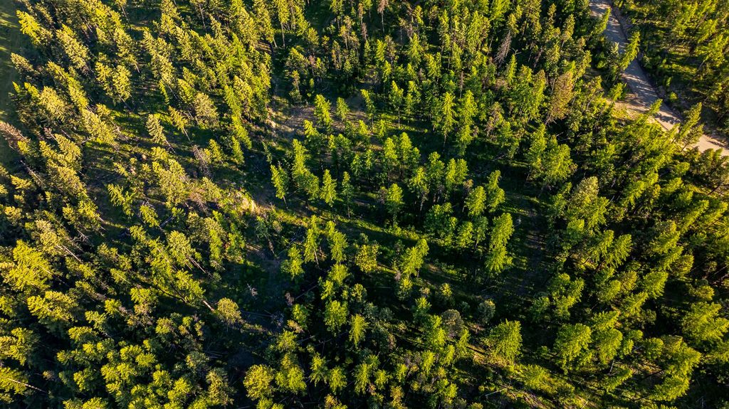 300 Salish Mountains Drive, Whitefish, MT 59937 photo 56