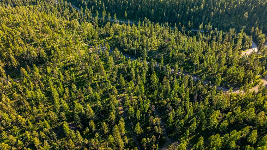 300 Salish Mountains Drive, Whitefish, MT 59937 photo 59