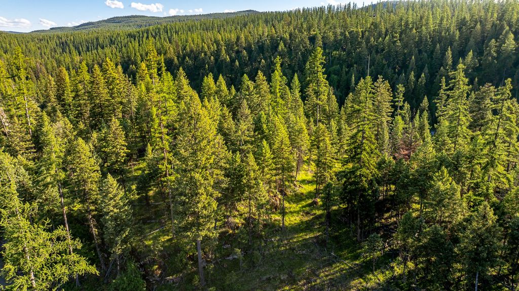 300 Salish Mountains Drive, Whitefish, MT 59937 photo 62