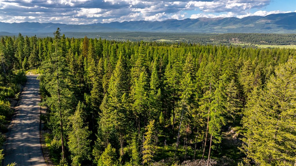 300 Salish Mountains Drive, Whitefish, MT 59937 photo 7