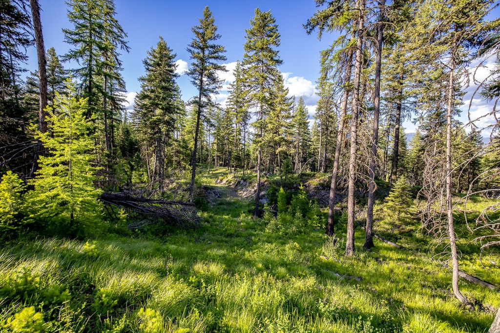 300 Salish Mountains Drive, Whitefish, MT 59937 photo 70