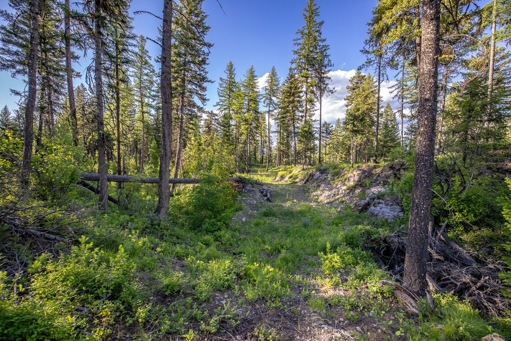 300 Salish Mountains Drive, Whitefish, MT 59937 photo 71