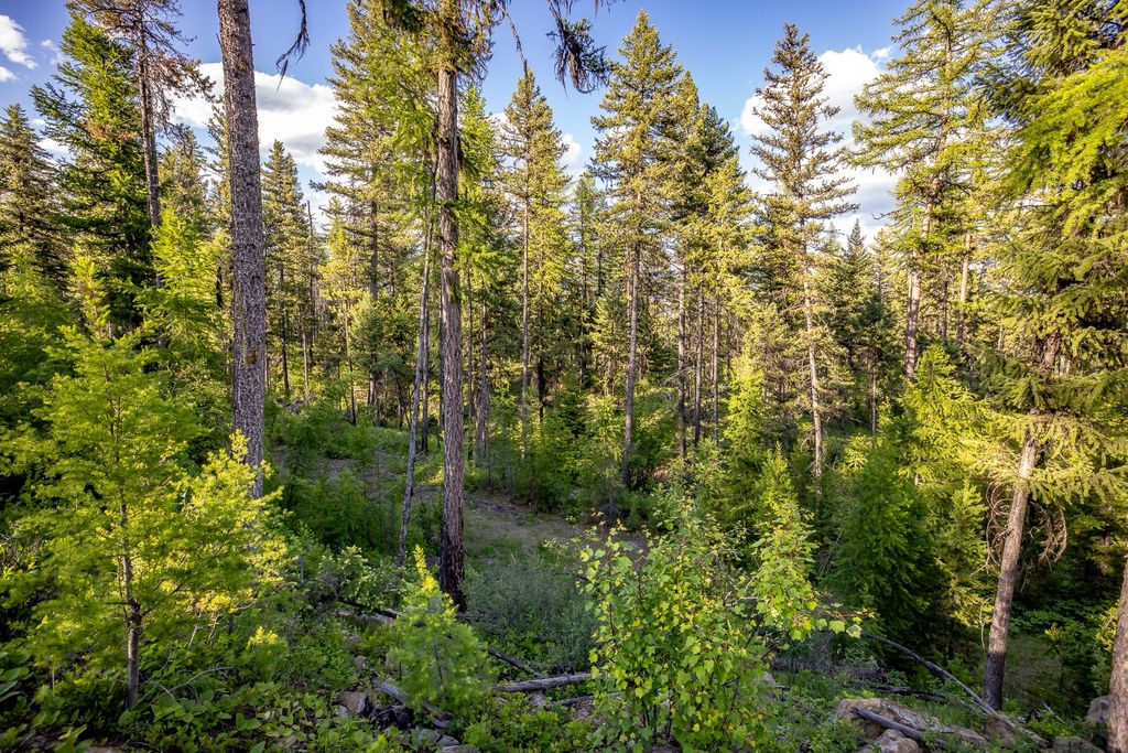 300 Salish Mountains Drive, Whitefish, MT 59937 photo 73