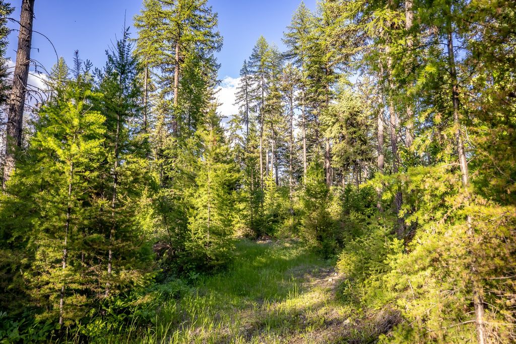 300 Salish Mountains Drive, Whitefish, MT 59937 photo 76