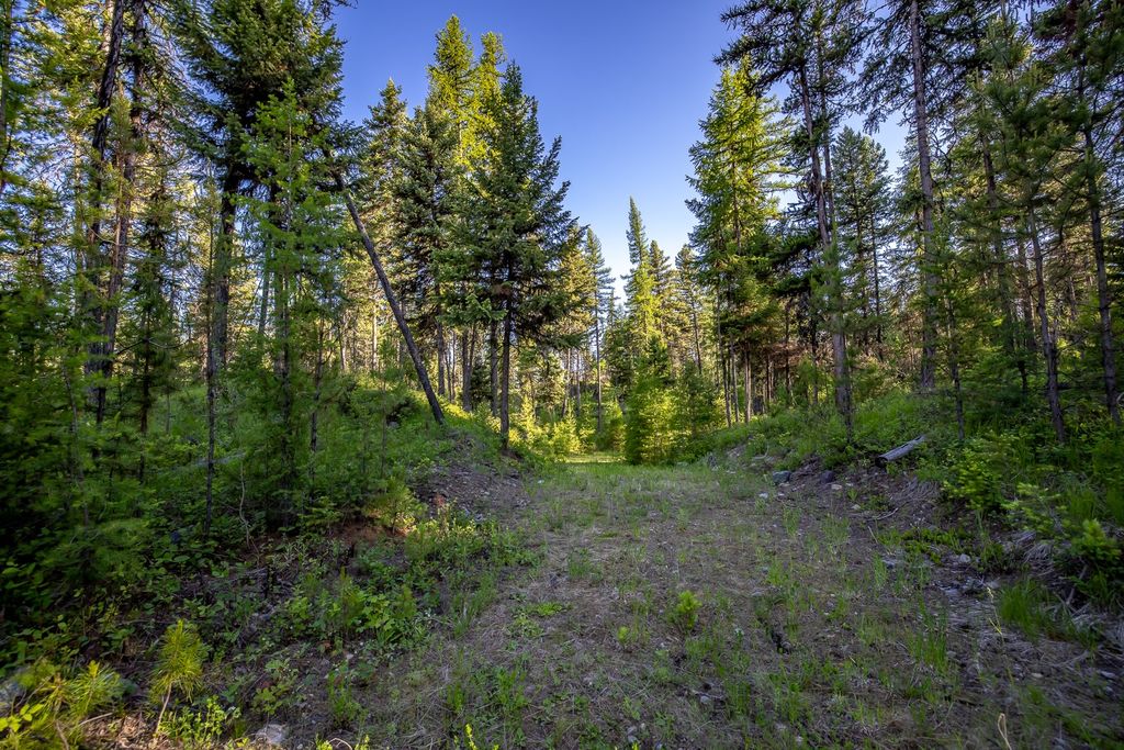 300 Salish Mountains Drive, Whitefish, MT 59937 photo 78