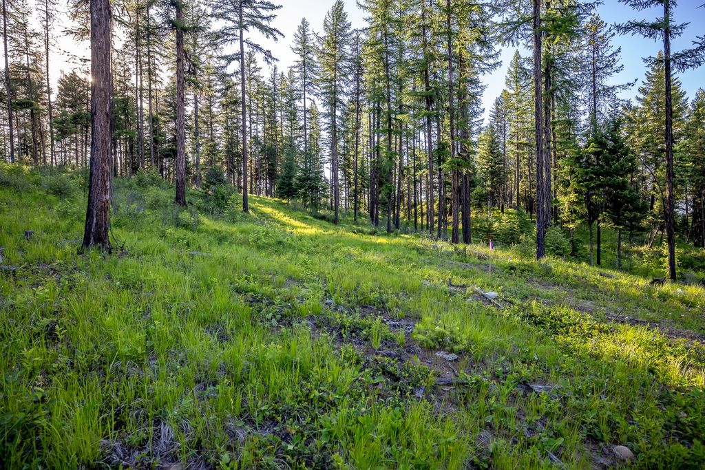 300 Salish Mountains Drive, Whitefish, MT 59937 photo 81