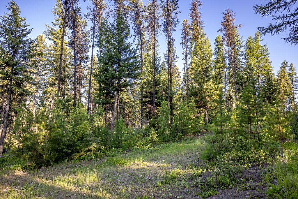 300 Salish Mountains Drive, Whitefish, MT 59937 photo 83